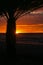 Beach oasis at sunrise in Spain