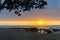 Beach Ocean Dawn Rocks Tree Silhouetted