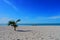 Beach and ocean panoramic summer holiday Mexico