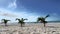 Beach and ocean panoramic summer holiday Mexico