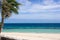 Beach and the ocean in windy day