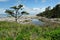 Beach of pacific coast