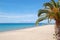 The beach with palm tree and mountain Olympus