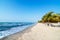 Beach and Palm Trees