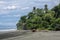 Beach with palm trees in Corcovado national park