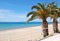 The beach with palm trees and mountain Olympus