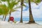 Beach with Palm trees and a ring buoy