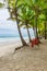 Beach with Palm trees and a ring buoy