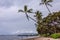 Beach with palm trees and sail boat harbor, Lahaina, Maui, Hawaii, USA