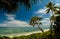 Beach with palm trees on the south pacific island of Tonga