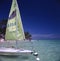 beach with palm trees white sand, turquoise sea in punta cana dominican republic, tourists in deck chairs sunbathing and