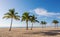 Beach with palms