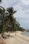 Beach and palms