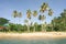 Beach palms from the sea at El Nido Palawan