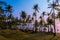 Beach with palms at sunset