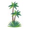 Beach palms trees with leaves cartoon