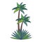 Beach palms trees with leaves cartoon