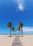 Beach path with palms