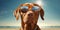 Beach Paws-itivity Cute Labrador Retriever Dog in Sunglasses Strikes a Pose. Generative AI