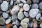 BEACH PEBBLES