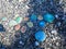 Beach with pebbles on the Black sea. Beautiful beaches pebbles near the Black Sea in Abkhazia