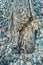 Beach pebbles and driftwood log, British Columbia, Canada.