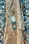 Beach pebbles and driftwood log, British Columbia, Canada.