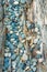 Beach pebbles and driftwood log, British Columbia, Canada.