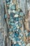 Beach pebbles and driftwood log, British Columbia, Canada.