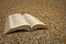 Beach pebbles open bible