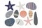 Beach pebbles, sea star, shell set. Hand drawn various shapes. Modern illustration in vector. Different shapes, colors