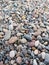 Beach pebbles wallpaper by the mediterranean coast