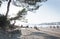 Beach people and parasols silhouettes