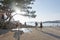 Beach people and parasols silhouettes