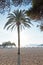 Beach people and parasols silhouettes