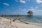 Beach with pier and driftwood