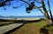 Beach with pine forest and boardwalk. Trees, pine needles and golden sand with vegetation in sand dunes. Blue sea, sunny day. Gali