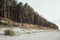 Beach with pine trees and reed on the sunset in summer. Latvia