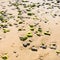 beach Plage de la Baie de Launay during low tide