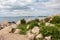 Beach plants bloom among the rocks