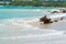 Beach at Playa Blanca