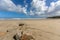 Beach of Plougasnou, Finistere, Brittany