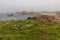 Beach of Plougrescant pink granite coast in France