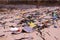 Beach pollution â€” trash of plastics, bottles, other wastes, washed ashore from tropical sea