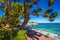 Beach promenade in the Beaulieu-sur-mer village with palm trees, French riviera, France