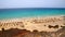 Beach in the resort of Playa de Esquinzo, Fuerteventura, Canary Islands, Spain