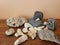 Beach Rock Collection with Coral