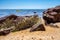 Beach rock in shallow water covered in marine vegetation.