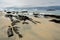 A beach with rocks and water