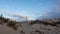 Beach sand and bamboo with the abandoned light house at Ludertiz, Namibia